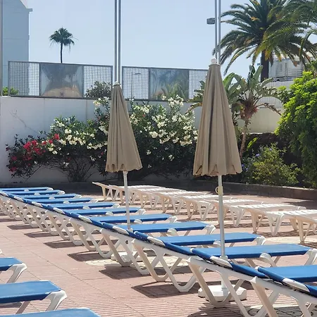 Las Camelias Apartments-2